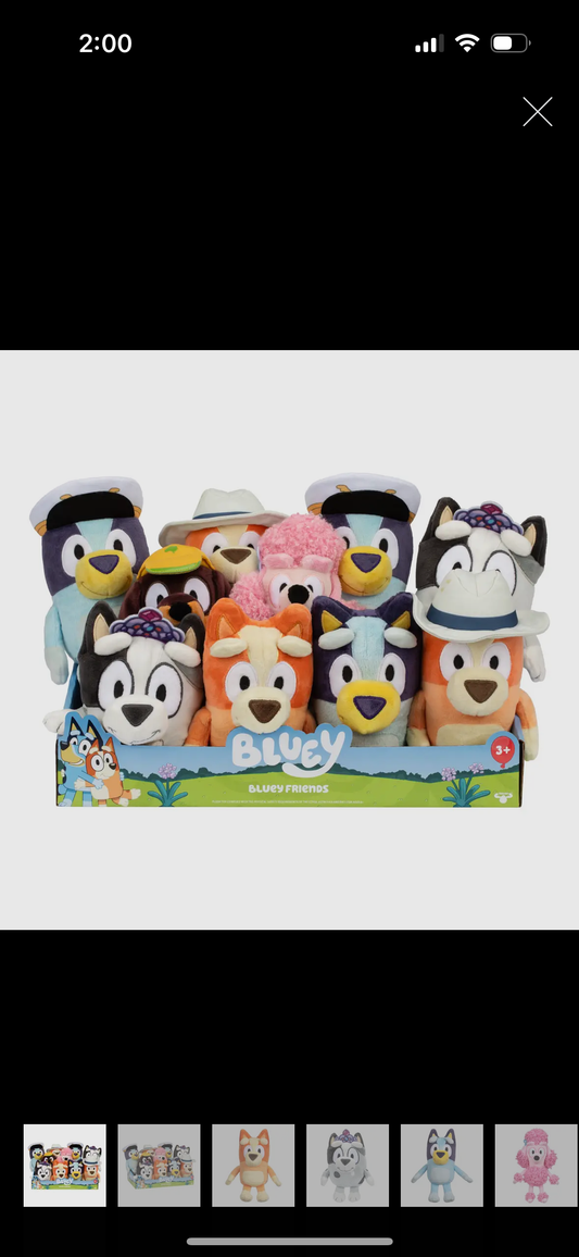 Bluey and Friends Stuff Plushies