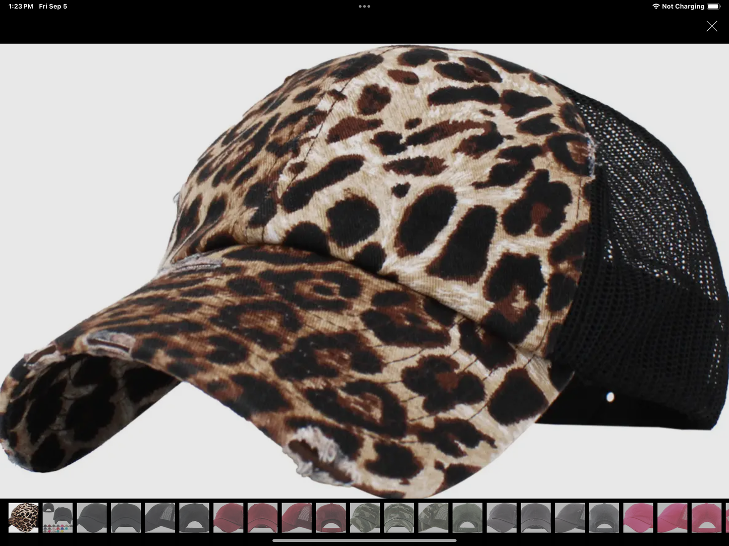Vintage Mesh Baseball Cap
