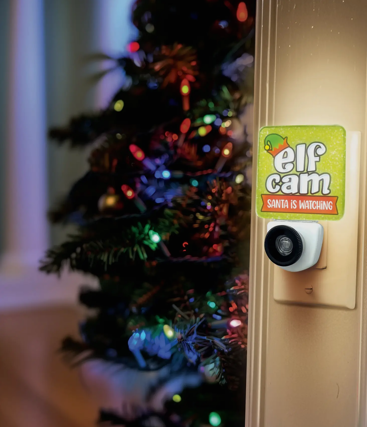 Christmas Santa and Elf Cam and Nite Light