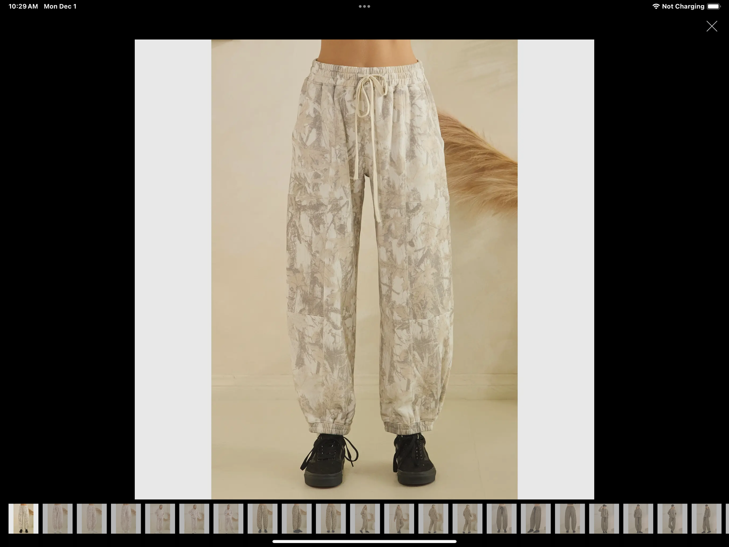 Vervet French Terry joggers pants